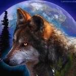 LOUP