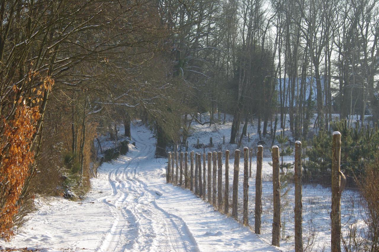 Paysage neige