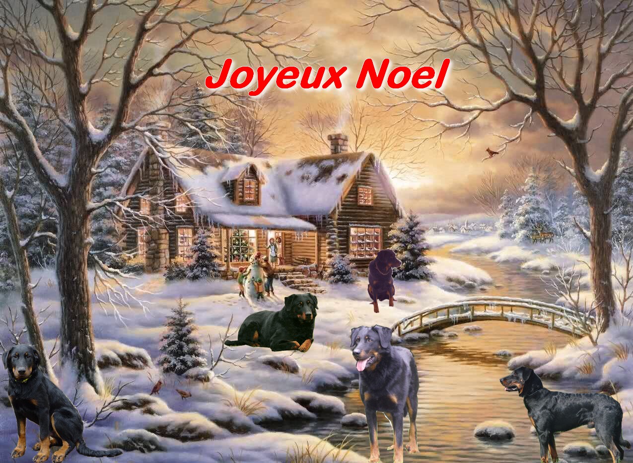 joyeux noel